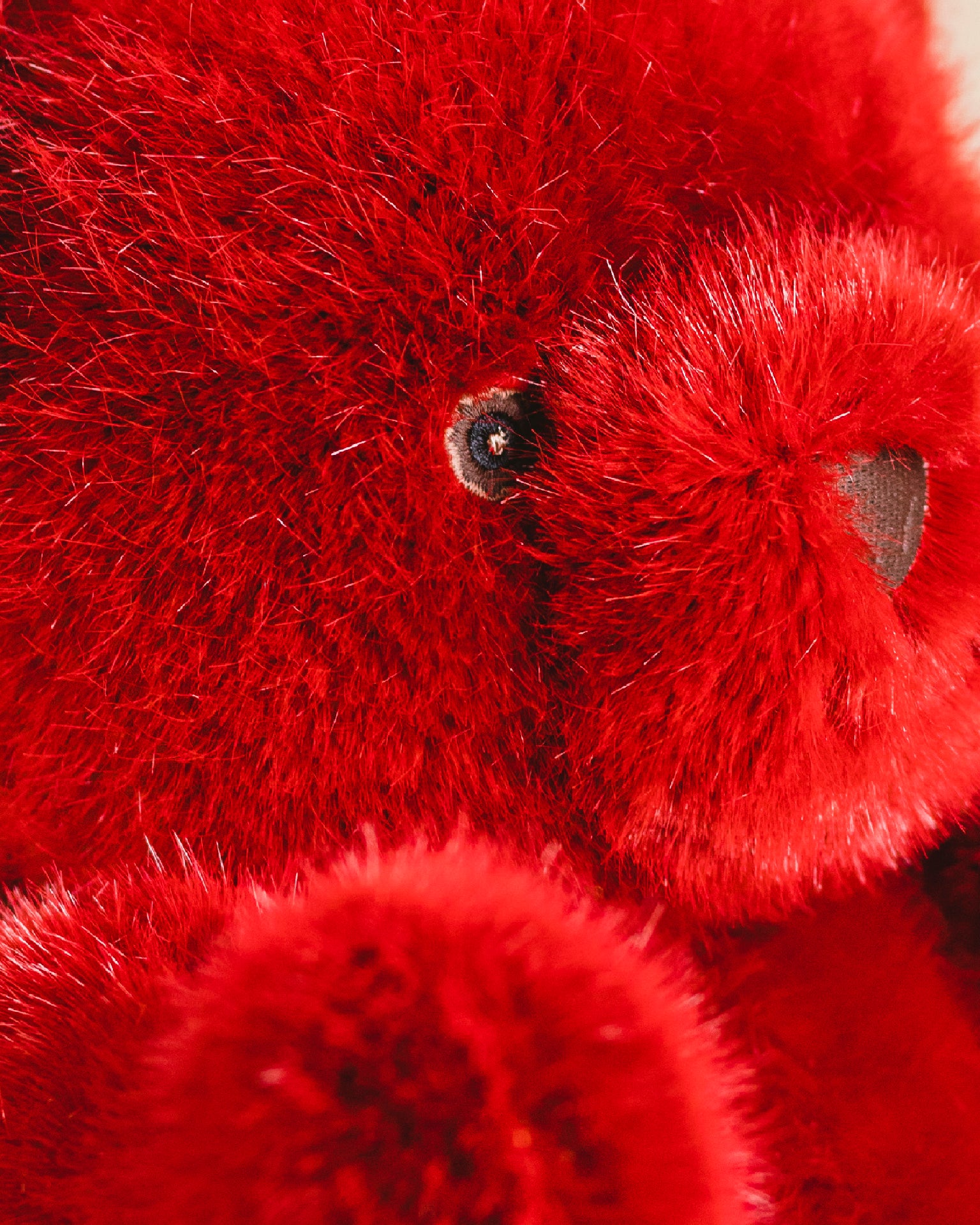 Peluche Ours Robert Rouge