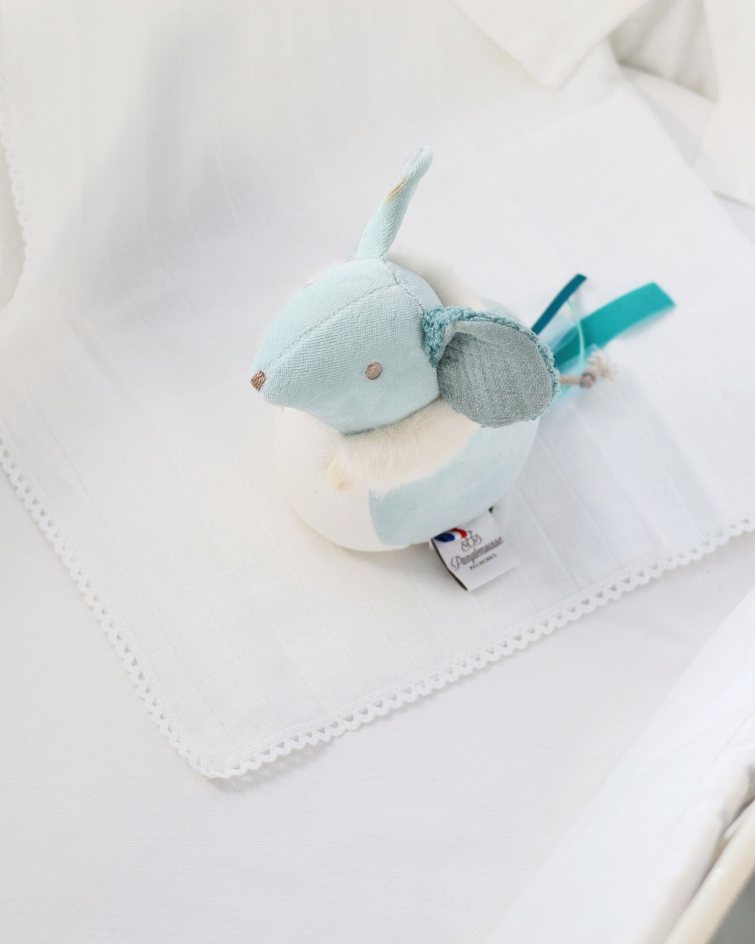 Souris d'éveil Bleu