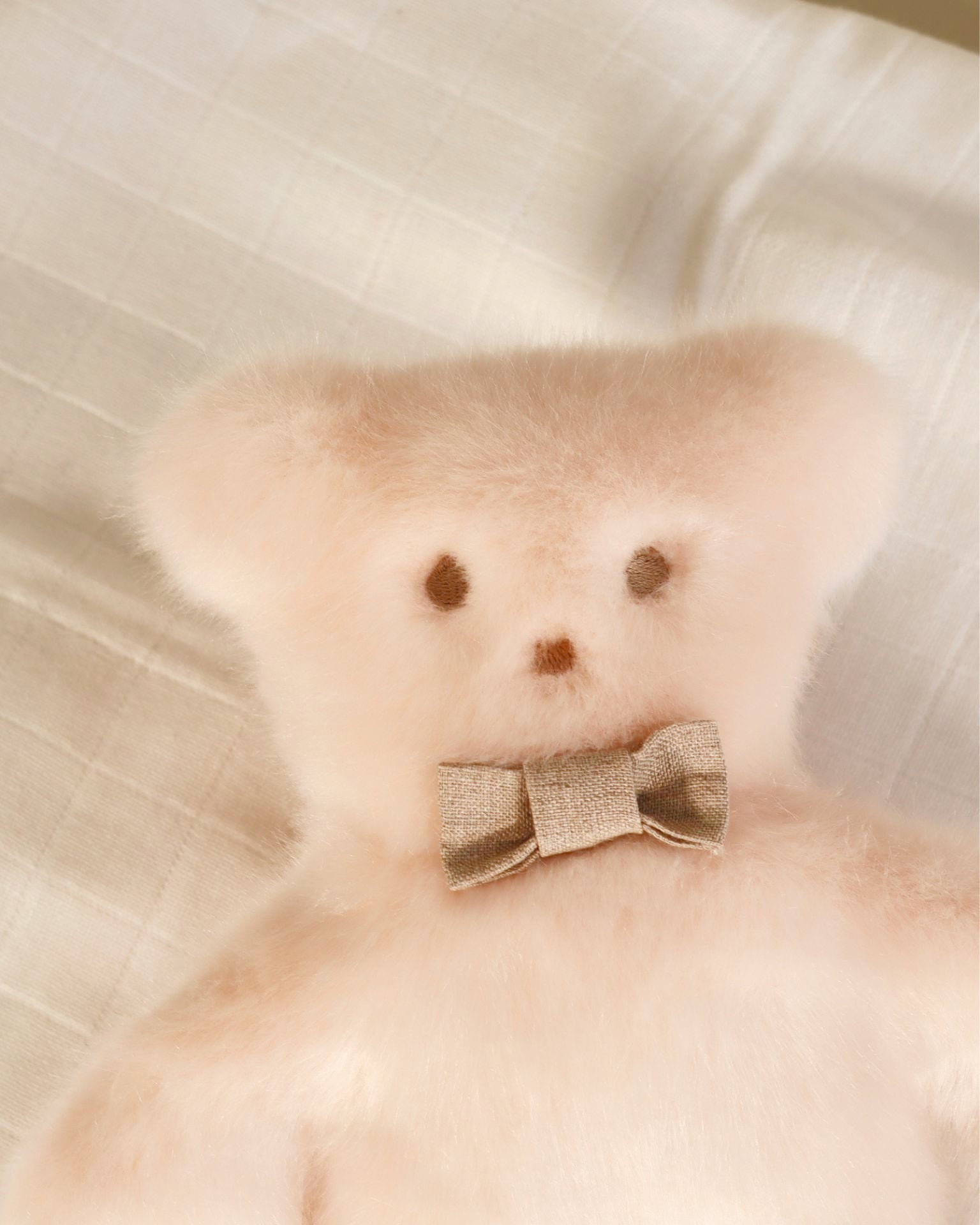 Peluche Robertto Rose