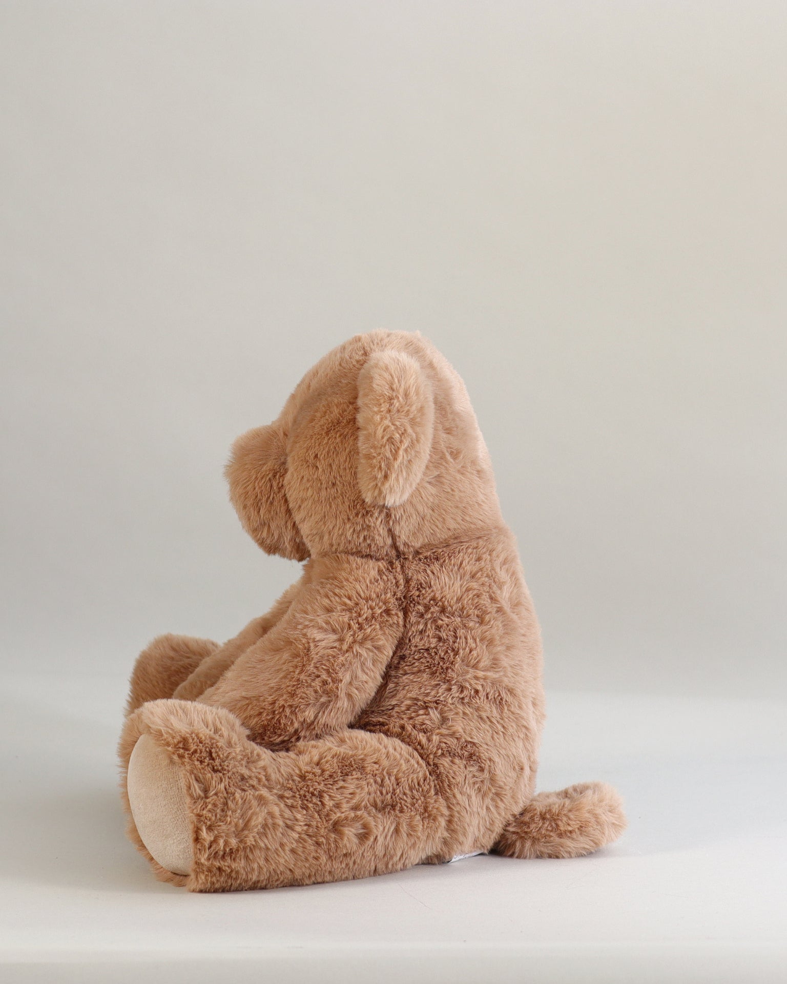 Armand l'Ours musical