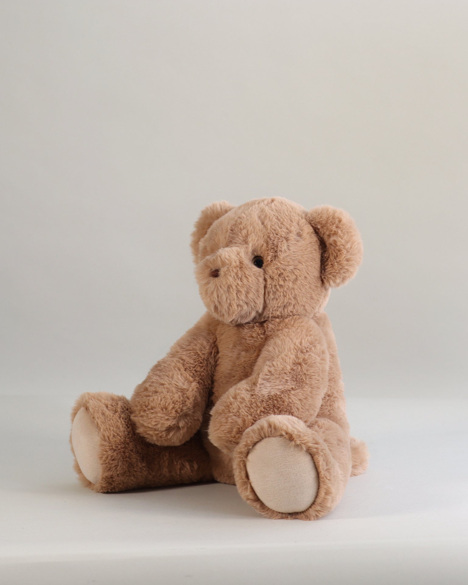 Armand l'Ours musical